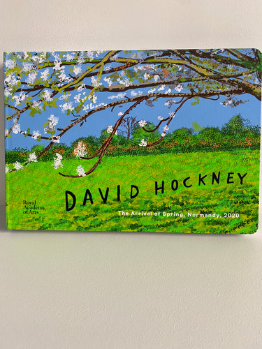 David Hockney kunstbog
